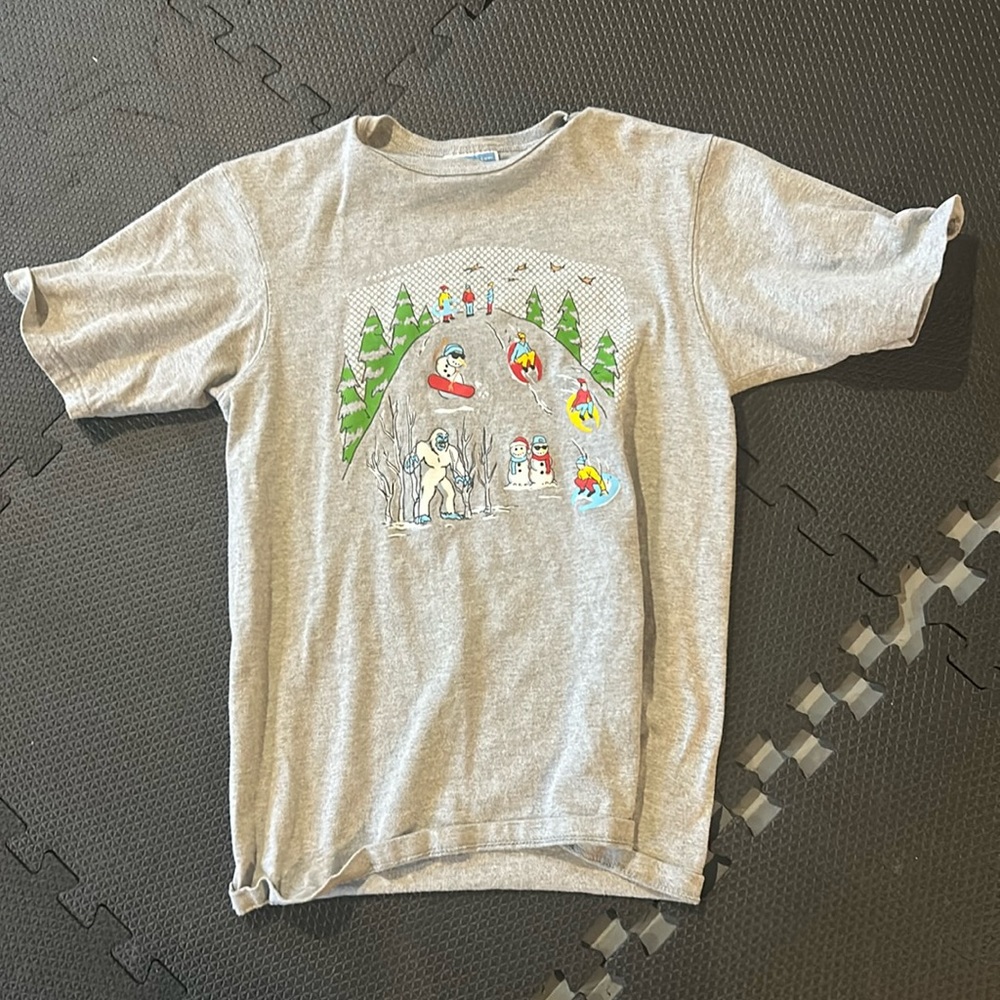 Grey champion t shirt with sledding/snowboard graphic
